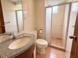 Castle Green (D26), Condominium #628885941